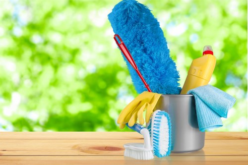 Professional office cleaners working in a Putney workplace