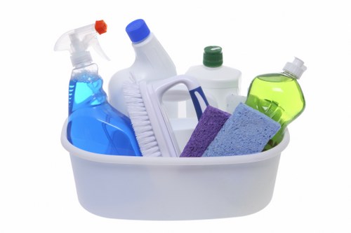 Stain removal service by a carpet cleaner in Putney for a busy household