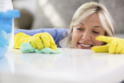 Streak-free window cleaning service for homes in Putney
