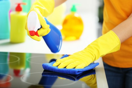 Expert sofa stain removal and fabric care in Putney