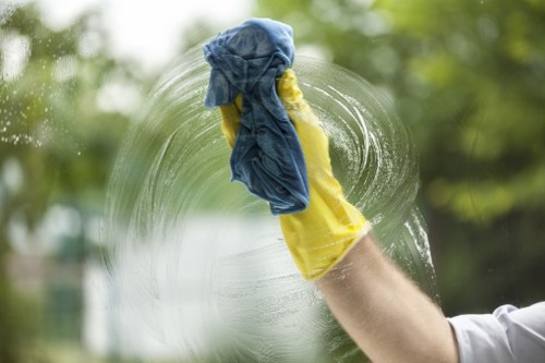 Deep cleaning support for a Putney household