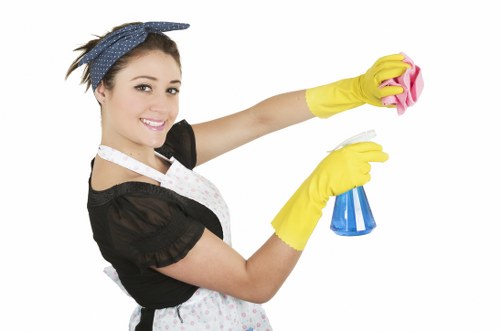 Browser settings for managing cookie preferences on Putney Carpetcleaning