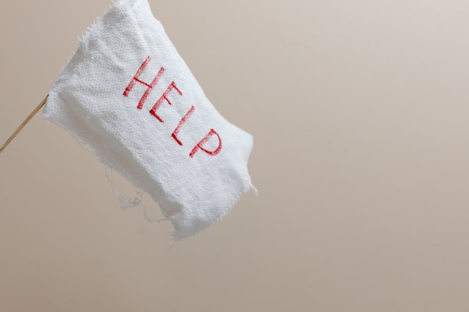 A small, frayed white cloth flag with the word 'HELP' embroidered in red, attached to a thin wooden stick, displayed against a plain beige wall. The flag appears to be made of a lightweight, textured fabric, possibly cotton or linen, and is slightly wrinkled. The lighting is soft and even, highlighting the texture of the fabric and the simple presentation, which may symbolize a call for assistance in cleaning or emergency stain removal. This image may be used to represent urgent cleaning needs in residential or commercial spaces, with a focus on prompt and thorough surface cleaning services provided by Putney Carpet Cleaning.